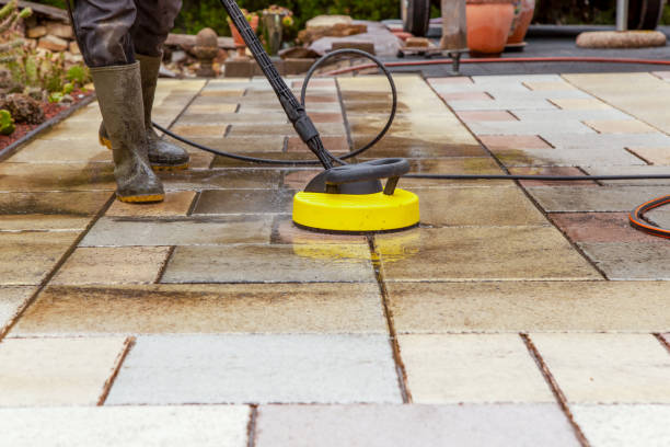 Best Roof Cleaning and Mildew Removal in Monon, IN